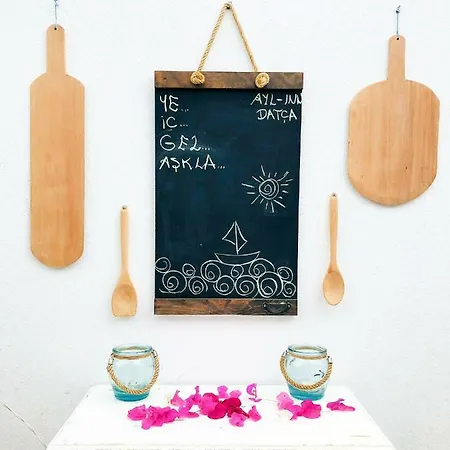 住宿加早餐酒店 Ayl-inn 达特恰