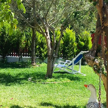 فندق مبيت وإفطار Ayl-inn داتْشا