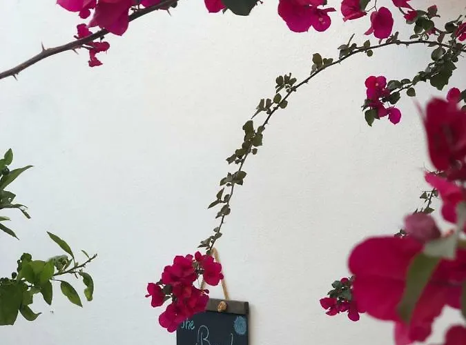 Ayl-inn Alojamento de Acomodação e Pequeno-almoço Datça