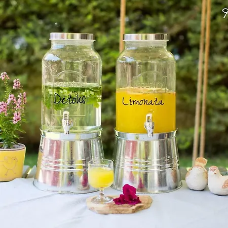 Ayl-inn داتْشا