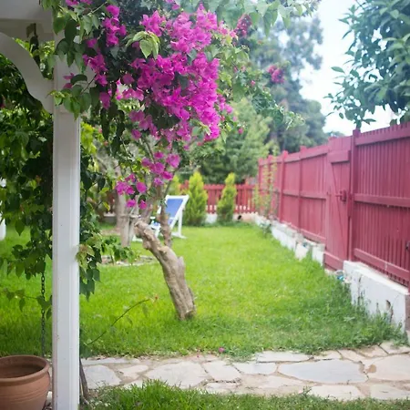 Bed and breakfast Ayl-inn *