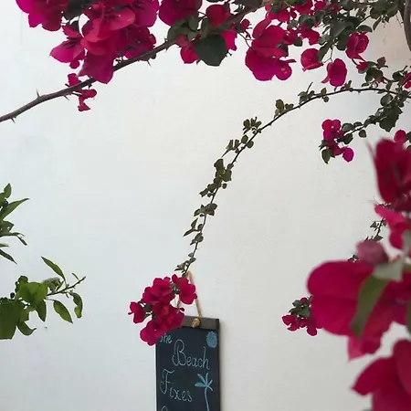 Ayl-inn فندق مبيت وإفطار داتْشا