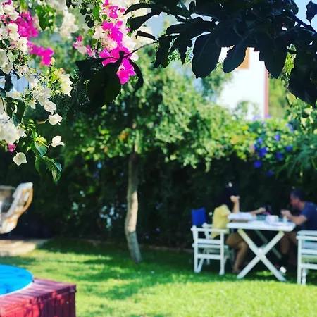 Ayl-inn فندق مبيت وإفطار داتْشا