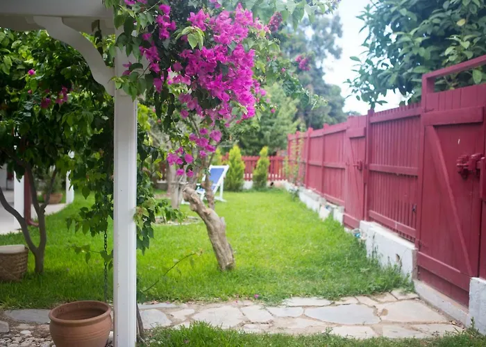 Oda ve Kahvaltı Ayl-inn *